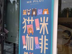 门面-飞行喵MR PILOT|猫舍·猫咖(静安大融城店)