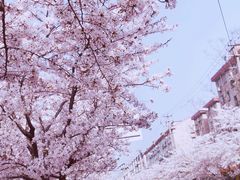 -永乐路-路侧停车场