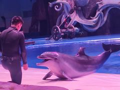 -华夏文旅海洋公园