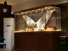 -半岛翡丽海鲜自助餐厅(观风亭店)