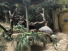 -广州长隆野生动物世界