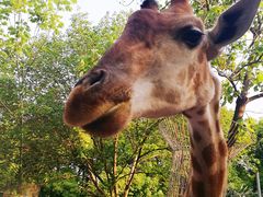 -荆州中山公园动物园