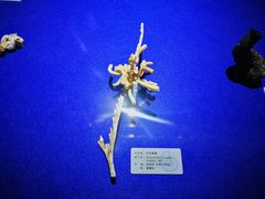 -贝壳王国博物馆