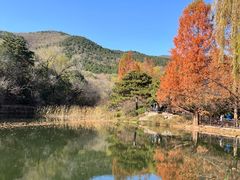 -国家植物园南园