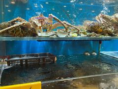 -潮喜竹溪荔湖酒家(荔枝湾店)