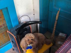 -半坡九号老挝冰咖啡