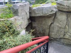 -成都市活水公园