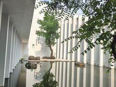 -中国宣纸文化园