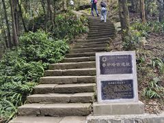 -缙云山景区