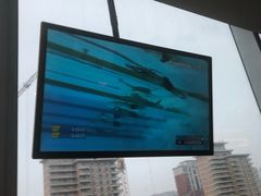 -W Fitness 威尔仕健身(北京英皇集团中心店)