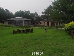 -上林马术中央公园·户外露营·团建·骑乘