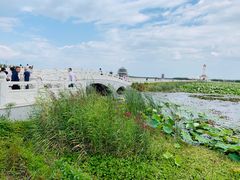 -呼兰河口湿地公园