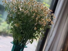 -春暖花开(西溪店)