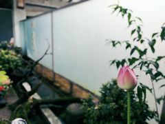 -乐领拈花溪·林涧食韵