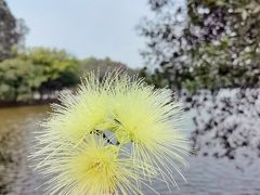 -三水森林公园