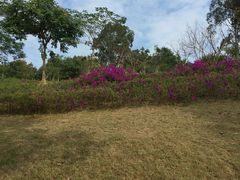 -中国移动南方基地