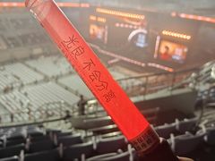 -大连体育中心体育馆