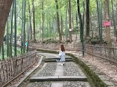 -杭州黄龙洞