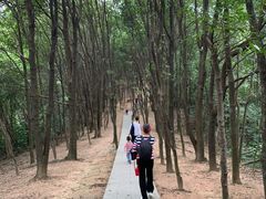-火炉山森林公园