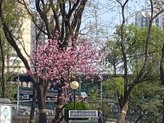 -方庄体育公园