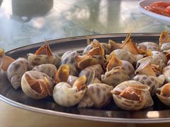 白灼花螺-七鲜渔港美食餐厅(巽寮湾海景店)