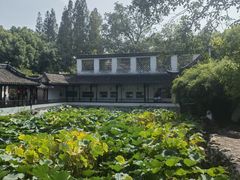 -上海醉白池公园