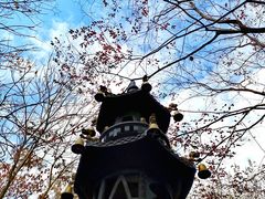 -穹窿山景区