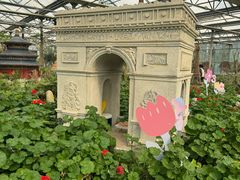 -南宫五洲植物乐园