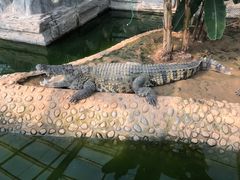 -石家庄市动物园