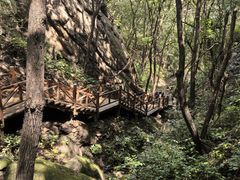 -大岭沟猕猴桃谷风景区