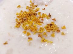 -宝珠奶酪(长宁金虹桥店)