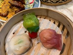 -点都德·毕德寮