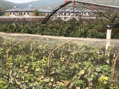 -大连北马山庄