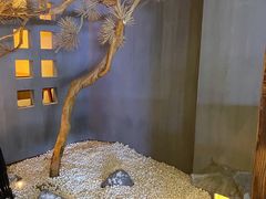 -春熙台韩国料理·章鱼肥牛(西丽店)