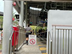 -圣淘沙天际线斜坡滑车