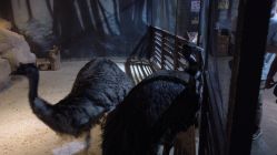 -酷嗒动物文化乐园(cutezoo西溪乐天城店)