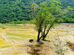 -黄龙山原始森林景区