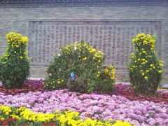 iphone_upload_pic-迎泽公园