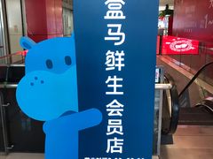 -盒马鲜生(大成店)