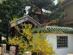 -新川办餐厅