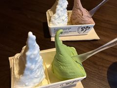 -野人先生现做冰淇淋(北京环宇荟店)