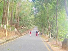 -分塔山省级森林公园