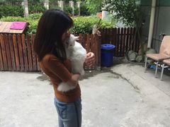 -宠爱有家宠物店(环镇北路店)