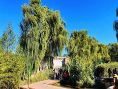 -三里河公园