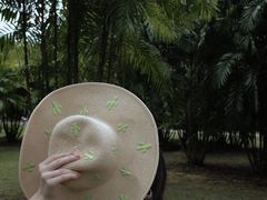 -中国科学院西双版纳热带植物园