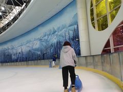 -世界之窗阿尔卑斯冰雪世界