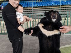 -东方熊牧场