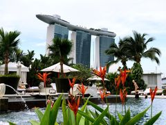 -新加坡文华东方酒店