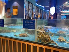 水产区-都市阳光海鲜城(青山湖店)