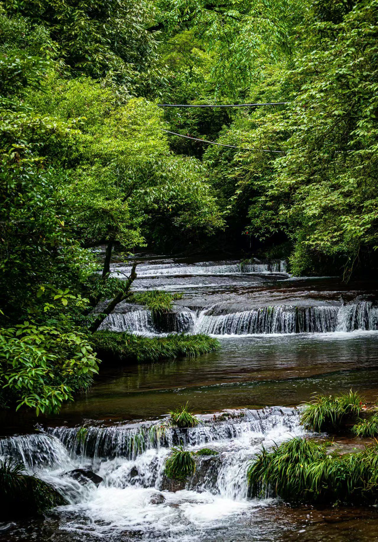 🌄山峦起伏,绿树成荫,宛如一幅生动的山水画卷